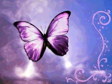 papillon