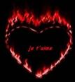 je t'aime